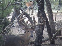 /album/photo-gallery-/dsc04330-jpg1/