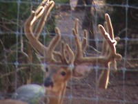 /album/photo-gallery-/dsc04352-jpg1/