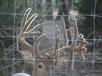 /album/photo-gallery-/dsc04353-jpg1/