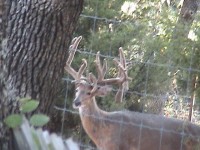 /album/photo-gallery-/dsc04354-jpg/