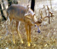 /album/photo-gallery-/io08-13-09-1930-edited-2-jpg/