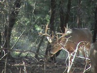 /album/photo-gallery-/indieokiesept08-jpg1/